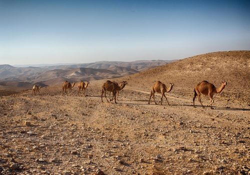 dead-sea-1930707_640